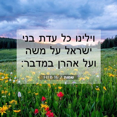 Picture 07 - שמות 16:2 HEB - וילינו כל עדת בני ישראל על - Bible Verse Picture