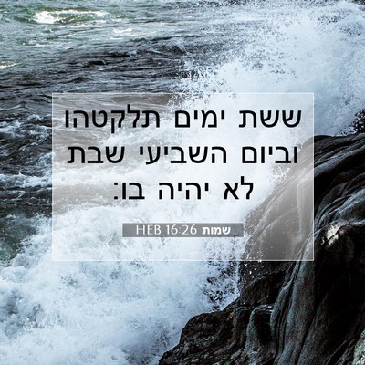 Picture 07 - שמות 16:26 HEB - ששת ימים תלקטהו וביום - Bible Verse Picture