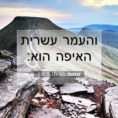 Picture 07 - שמות 16:36 HEB - והעמר עשרית האיפה - Bible Verse Picture