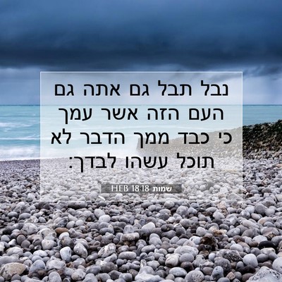 Picture 07 - שמות 18:18 HEB - נבל תבל גם אתה גם העם הזה - Bible Verse Picture