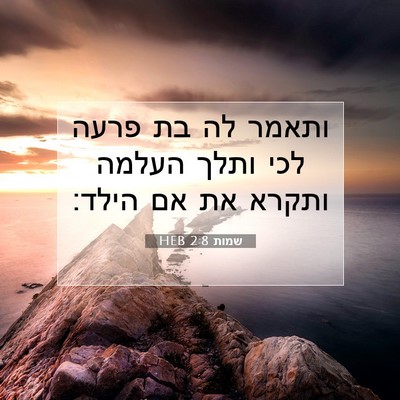Picture 07 - שמות 2:8 HEB - ותאמר לה בת פרעה לכי ותלך - Bible Verse Picture