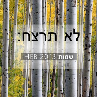 Picture 07 - שמות 20:13 HEB - לא - Bible Verse Picture