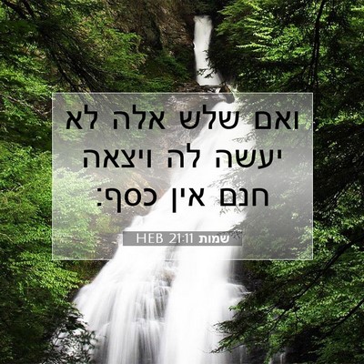 Picture 07 - שמות 21:11 HEB - ואם שלש אלה לא יעשה לה - Bible Verse Picture