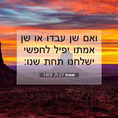 Picture 07 - שמות 21:27 HEB - ואם שן עבדו או שן אמתו יפיל - Bible Verse Picture