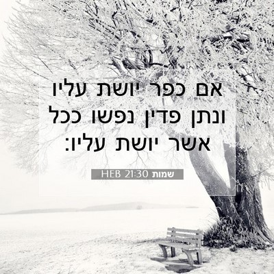 Picture 07 - שמות 21:30 HEB - אם כפר יושת עליו ונתן פדין - Bible Verse Picture