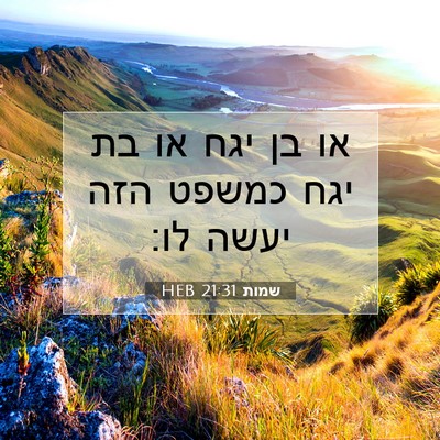 Picture 07 - שמות 21:31 HEB - או בן יגח או בת יגח כמשפט - Bible Verse Picture