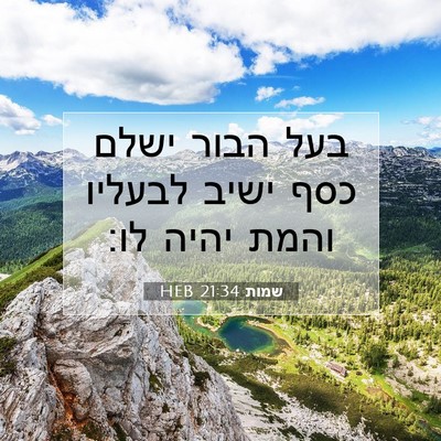 Picture 07 - שמות 21:34 HEB - בעל הבור ישלם כסף ישיב - Bible Verse Picture