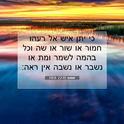Picture 07 - שמות 22:10 HEB - כי יתן איש אל רעהו חמור או - Bible Verse Picture