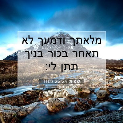 Picture 07 - שמות 22:29 HEB - מלאתך ודמעך לא תאחר בכור - Bible Verse Picture