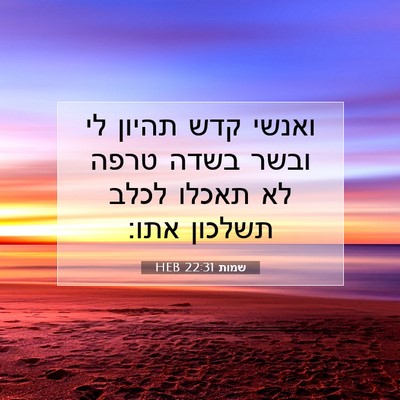 Picture 07 - שמות 22:31 HEB - ואנשי קדש תהיון לי ובשר - Bible Verse Picture