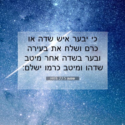 Picture 07 - שמות 22:5 HEB - כי יבער איש שדה או כרם ושלח - Bible Verse Picture