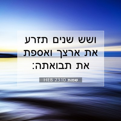 Picture 07 - שמות 23:10 HEB - ושש שנים תזרע את ארצך ואספת - Bible Verse Picture