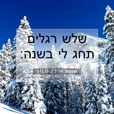 Picture 07 - שמות 23:14 HEB - שלש רגלים תחג לי - Bible Verse Picture