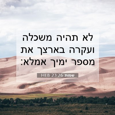 Picture 07 - שמות 23:26 HEB - לא תהיה משכלה ועקרה בארצך - Bible Verse Picture