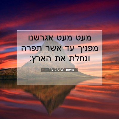 Picture 07 - שמות 23:30 HEB - מעט מעט אגרשנו מפניך עד אשר - Bible Verse Picture