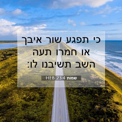 Picture 07 - שמות 23:4 HEB - כי תפגע שור איבך או חמרו - Bible Verse Picture