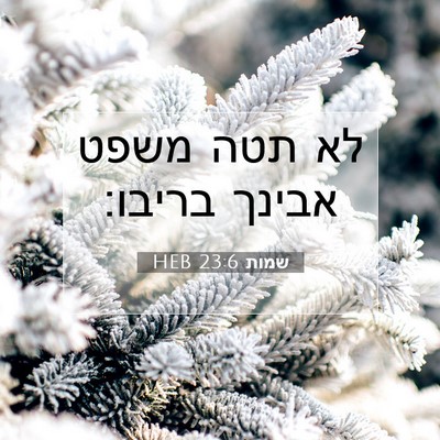 Picture 07 - שמות 23:6 HEB - לא תטה משפט אבינך - Bible Verse Picture
