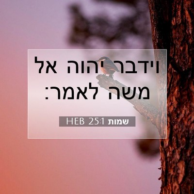 Picture 07 - שמות 25:1 HEB - וידבר יהוה אל משה - Bible Verse Picture