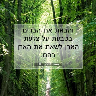 Picture 07 - שמות 25:14 HEB - והבאת את הבדים בטבעת על - Bible Verse Picture