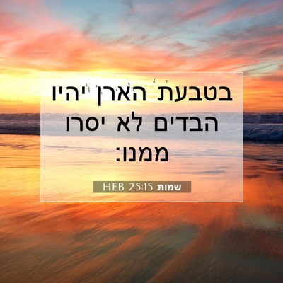 Picture 07 - שמות 25:15 HEB - בטבעת הארן יהיו הבדים לא - Bible Verse Picture