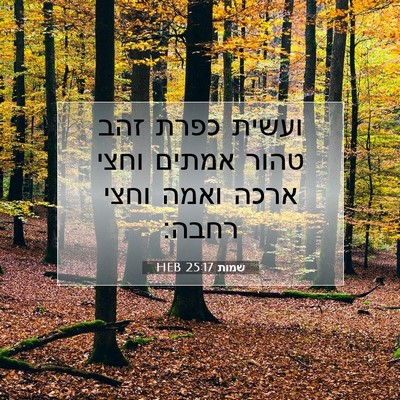 Picture 07 - שמות 25:17 HEB - ועשית כפרת זהב טהור אמתים - Bible Verse Picture