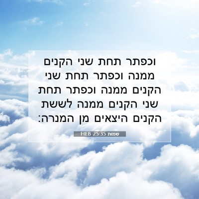 Picture 07 - שמות 25:35 HEB - וכפתר תחת שני הקנים ממנה - Bible Verse Picture