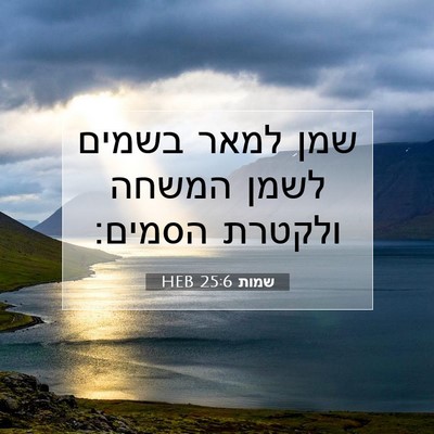 Picture 07 - שמות 25:6 HEB - שמן למאר בשמים לשמן המשחה - Bible Verse Picture