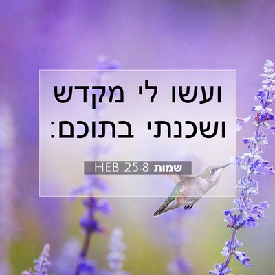 Picture 07 - שמות 25:8 HEB - ועשו לי מקדש ושכנתי - Bible Verse Picture