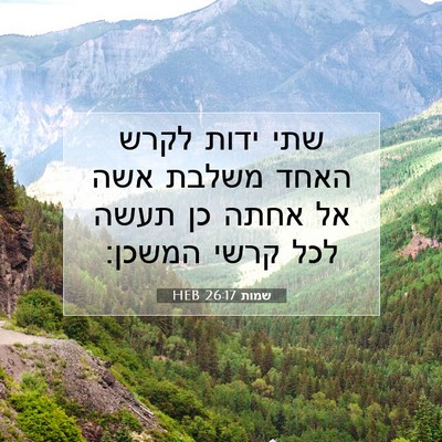 Picture 07 - שמות 26:17 HEB - שתי ידות לקרש האחד משלבת - Bible Verse Picture