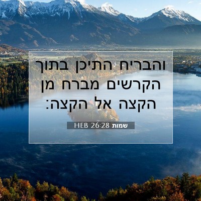 Picture 07 - שמות 26:28 HEB - והבריח התיכן בתוך הקרשים - Bible Verse Picture