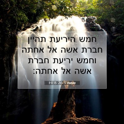 Picture 07 - שמות 26:3 HEB - חמש היריעת תהיין חברת אשה - Bible Verse Picture