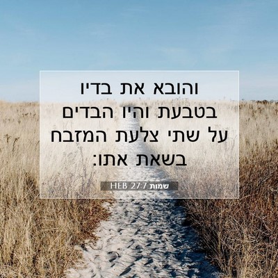 Picture 07 - שמות 27:7 HEB - והובא את בדיו בטבעת והיו - Bible Verse Picture