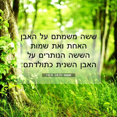 Picture 07 - שמות 28:10 HEB - ששה משמתם על האבן האחת ואת - Bible Verse Picture