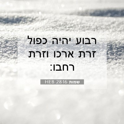 Picture 07 - שמות 28:16 HEB - רבוע יהיה כפול זרת ארכו - Bible Verse Picture