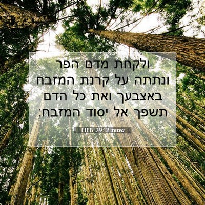 Picture 07 - שמות 29:12 HEB - ולקחת מדם הפר ונתתה על קרנת - Bible Verse Picture