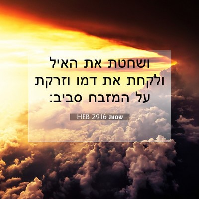 Picture 07 - שמות 29:16 HEB - ושחטת את האיל ולקחת את דמו - Bible Verse Picture
