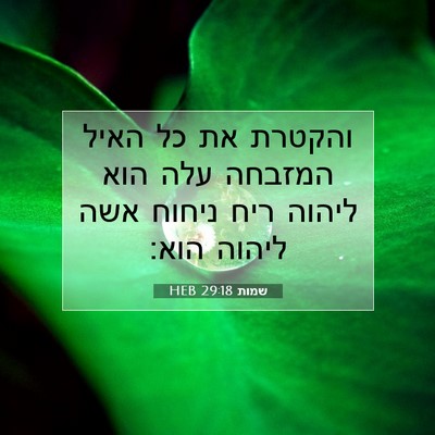 Picture 07 - שמות 29:18 HEB - והקטרת את כל האיל המזבחה - Bible Verse Picture