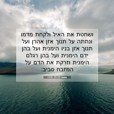 Picture 07 - שמות 29:20 HEB - ושחטת את האיל ולקחת מדמו - Bible Verse Picture