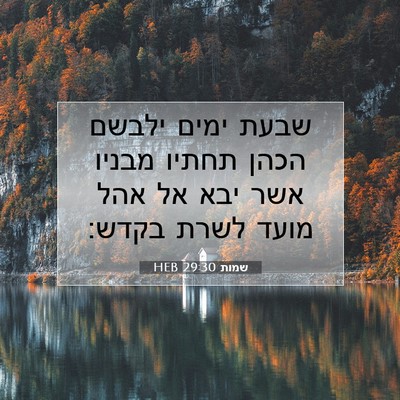 Picture 07 - שמות 29:30 HEB - שבעת ימים ילבשם הכהן תחתיו - Bible Verse Picture