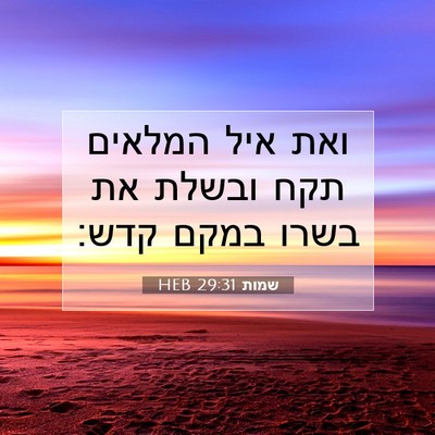 Picture 07 - שמות 29:31 HEB - ואת איל המלאים תקח ובשלת את - Bible Verse Picture