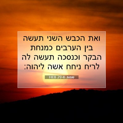 Picture 07 - שמות 29:41 HEB - ואת הכבש השני תעשה בין - Bible Verse Picture