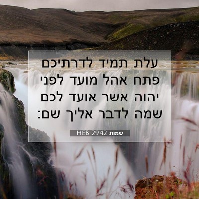 Picture 07 - שמות 29:42 HEB - עלת תמיד לדרתיכם פתח אהל - Bible Verse Picture
