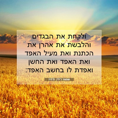 Picture 07 - שמות 29:5 HEB - ולקחת את הבגדים והלבשת את - Bible Verse Picture