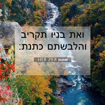 Picture 07 - שמות 29:8 HEB - ואת בניו תקריב והלבשתם - Bible Verse Picture