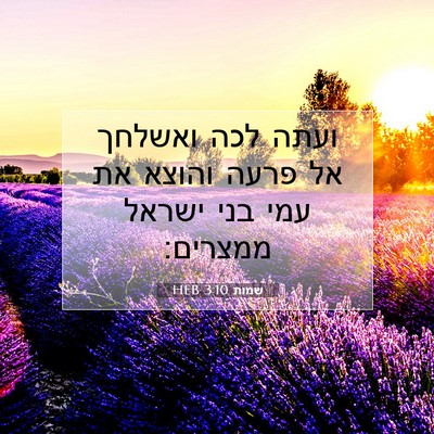 Picture 07 - שמות 3:10 HEB - ועתה לכה ואשלחך אל פרעה - Bible Verse Picture