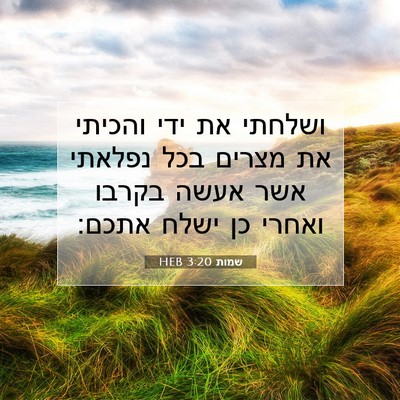 Picture 07 - שמות 3:20 HEB - ושלחתי את ידי והכיתי את - Bible Verse Picture