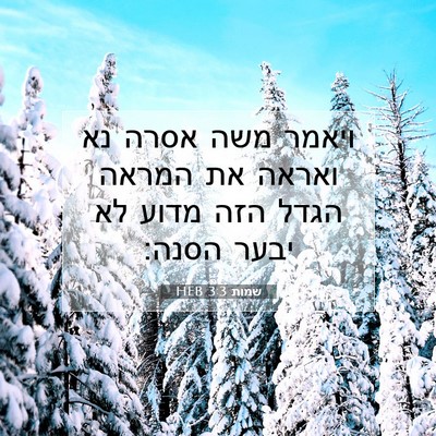 Picture 07 - שמות 3:3 HEB - ויאמר משה אסרה נא ואראה את - Bible Verse Picture
