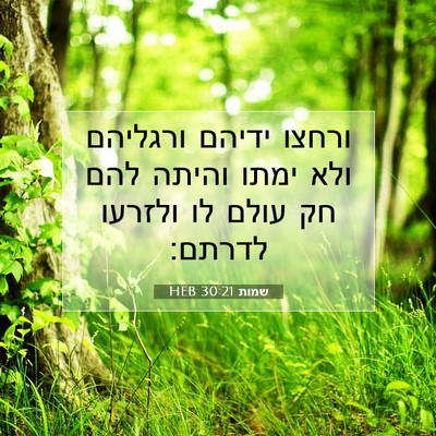 Picture 07 - שמות 30:21 HEB - ורחצו ידיהם ורגליהם ולא - Bible Verse Picture