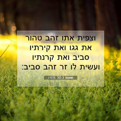 Picture 07 - שמות 30:3 HEB - וצפית אתו זהב טהור את גגו - Bible Verse Picture