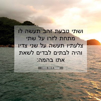 Picture 07 - שמות 30:4 HEB - ושתי טבעת זהב תעשה לו מתחת - Bible Verse Picture